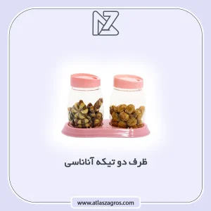 دو تیکه آناناسی اطلس زاگرس