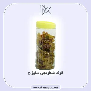 ظرف شطرنجی 5 اطلس زاگرس