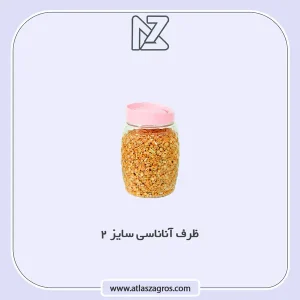 بانکه اناناسی 2 اطلس زاگرس